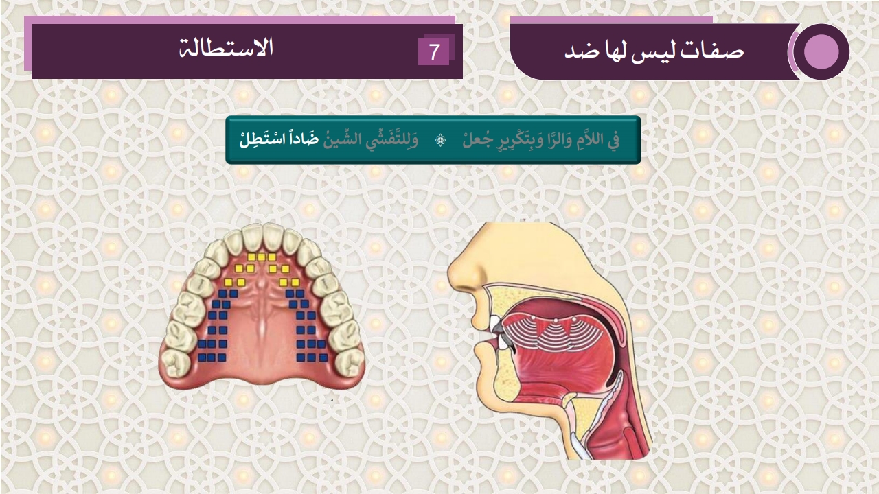 صفات الحروف - الصفحة 26